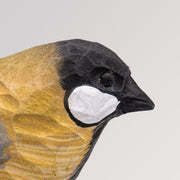 Kohlmeise hängend von Holzvogel
