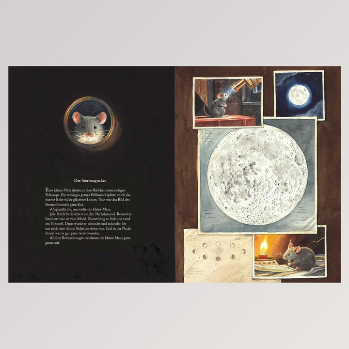 Kinderbuch Armstrong - Die abenteuerliche Reise einer Maus zum Mond von Torben Kuhlmann - Seite 4