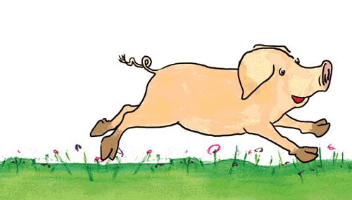 Daumenkino Viel Glück von Bärenpresse