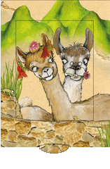 Lebende Karte verliebte Lamas von Bärenpresse