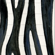 Ziehkarte - Zebra von Bärenpresse