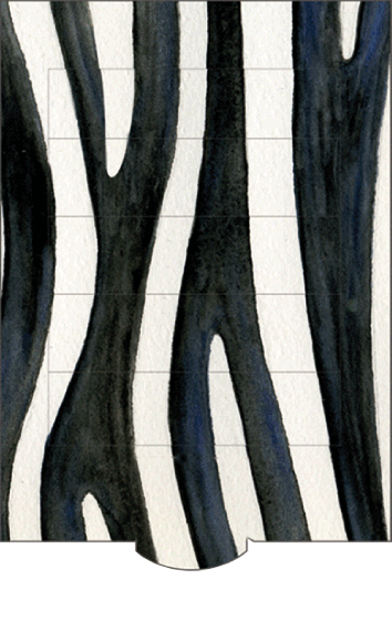 Ziehkarte - Zebra von Bärenpresse