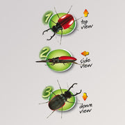 Crazy Bug Viewer von Crazy Three - 3-Wege-Becherlupe für Kinder zum Untersuchen von Insekten