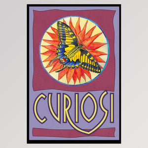 Puzzle Picoli Schmetterling von Curiosi