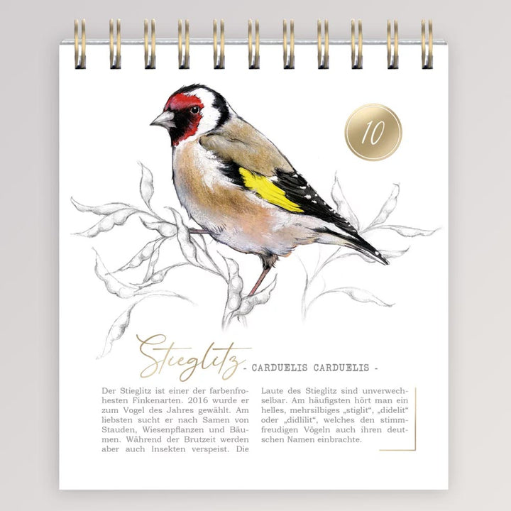 Adventskalender - 24 Vogelarten von Grätz Verlag
