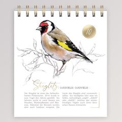 Adventskalender - 24 Vogelarten von Grätz Verlag