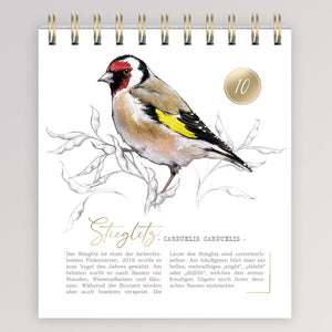 Adventskalender - 24 Vogelarten von Grätz Verlag