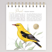 Adventskalender - 24 Vogelarten von Grätz Verlag