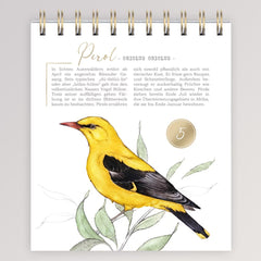 Adventskalender - 24 Vogelarten von Grätz Verlag