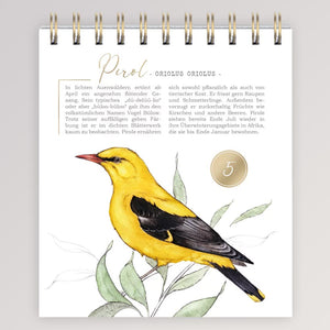 Adventskalender - 24 Vogelarten von Grätz Verlag