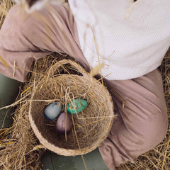 Aurora Eggs - Oster-Oranamente von Grapat