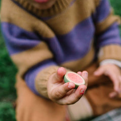 Kind spielt mit Fruits von Grapat: handbemalte Früchte und Obst aus Holz