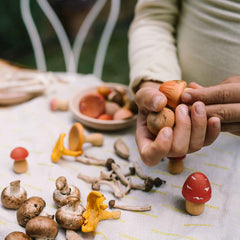 Kind spiel mit Mushroom Grove von Grapat - handbemalte Holzpilze