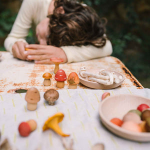 Kind spiel mit Mushroom Grove von Grapat - handbemalte Holzpilze