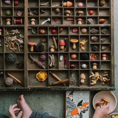 Kind spiel mit Mushroom Grove von Grapat - handbemalte Holzpilze