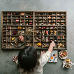 Kind spiel mit Mushroom Grove von Grapat - handbemalte Holzpilze