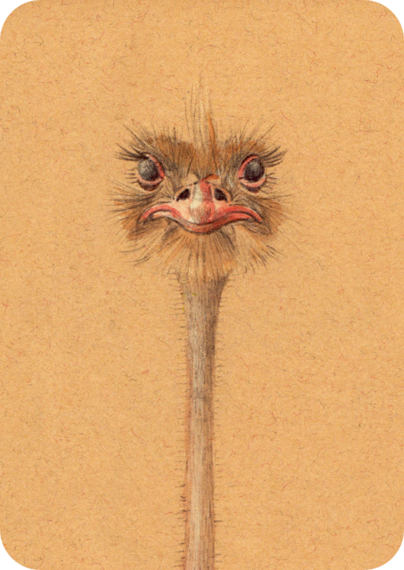 Postkarte - Strauß von Gutrath