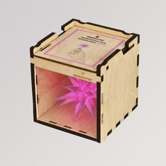 Herrnhuter Stern Sammelbox & Präsentationsbox für Sonderedition 2025