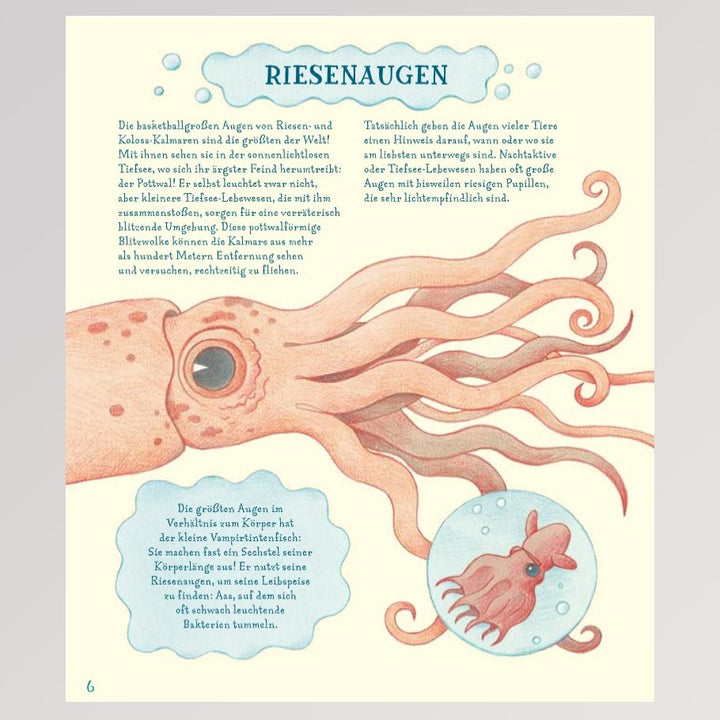 Kinderbuch "Geniale Augen - Eine kuriose Tiersammlung" - Seite 8