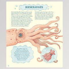 Kinderbuch "Geniale Augen - Eine kuriose Tiersammlung" - Seite 8