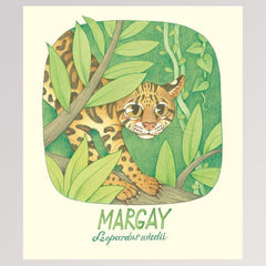 Kinderbuch "Geniale Augen - Eine kuriose Tiersammlung" - Seite 10