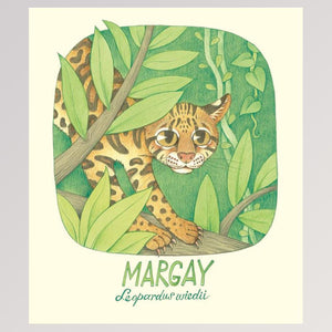 Kinderbuch "Geniale Augen - Eine kuriose Tiersammlung" - Seite 10