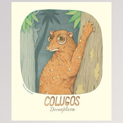 Kinderbuch "Geniale Augen - Eine kuriose Tiersammlung" - Seite 12