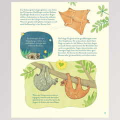 Kinderbuch "Geniale Augen - Eine kuriose Tiersammlung" - Seite 13