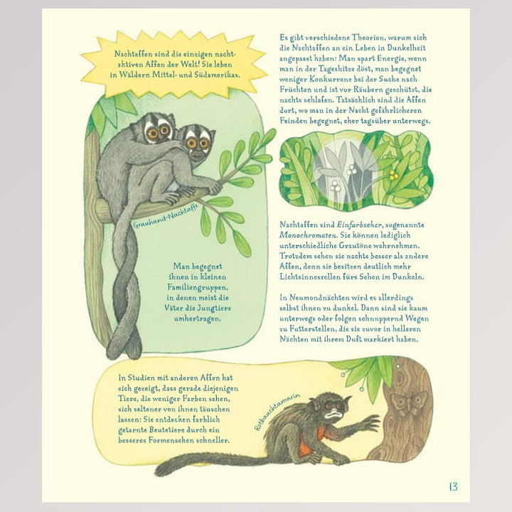 Kinderbuch "Geniale Augen - Eine kuriose Tiersammlung" - Seite 15