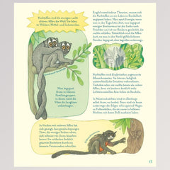 Kinderbuch "Geniale Augen - Eine kuriose Tiersammlung" - Seite 15