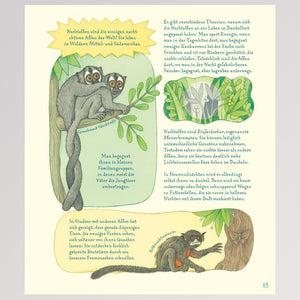 Kinderbuch "Geniale Augen - Eine kuriose Tiersammlung" - Seite 15
