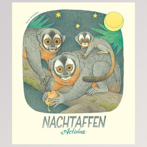 Kinderbuch "Geniale Augen - Eine kuriose Tiersammlung" - Seite 14