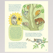 Kinderbuch "Geniale Augen - Eine kuriose Tiersammlung" - Seite 17