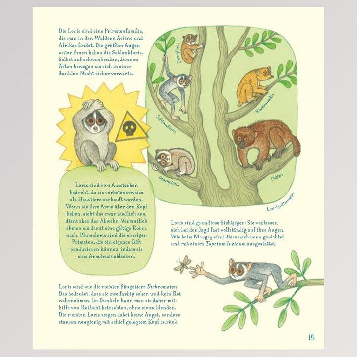 Kinderbuch "Geniale Augen - Eine kuriose Tiersammlung" - Seite 17