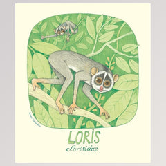 Kinderbuch "Geniale Augen - Eine kuriose Tiersammlung" - Seite 16