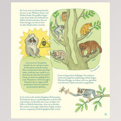 Kinderbuch "Geniale Augen - Eine kuriose Tiersammlung" - Seite 17