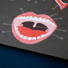 Spiel Inside Me von Londji - Menschlichen Körper entdecken ab 7 Jahren