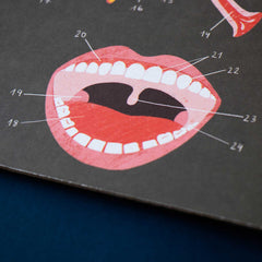 Spiel Inside Me von Londji - Menschlichen Körper entdecken ab 7 Jahren