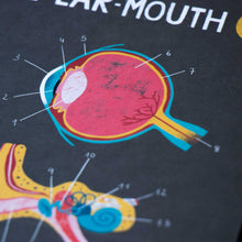 Spiel Inside Me von Londji - Menschlichen Körper entdecken ab 7 Jahren