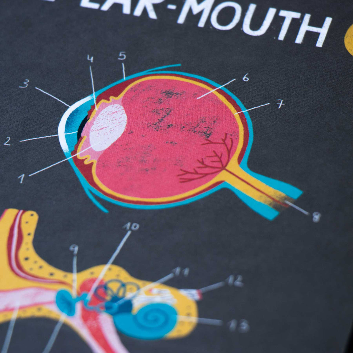 Spiel Inside Me von Londji - Menschlichen Körper entdecken ab 7 Jahren