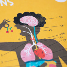 Spiel Inside Me von Londji - Menschlichen Körper entdecken ab 7 Jahren