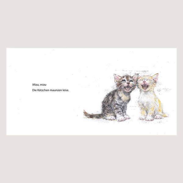 Kinderbuch Gute Nacht zusammen von Moritz Verlag Illustration Katzen