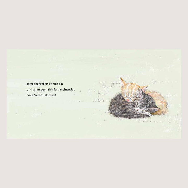 Kinderbuch Gute Nacht zusammen von Moritz Verlag Illustration Kätzchen