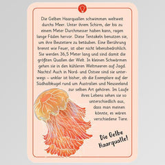 50 wundersame Tierrätsel - Rekorde