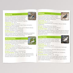 Diashow EXTRA - Unsere Vögel - von Moses