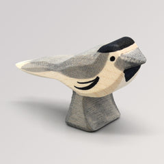 Bachstelze von Ostheimer