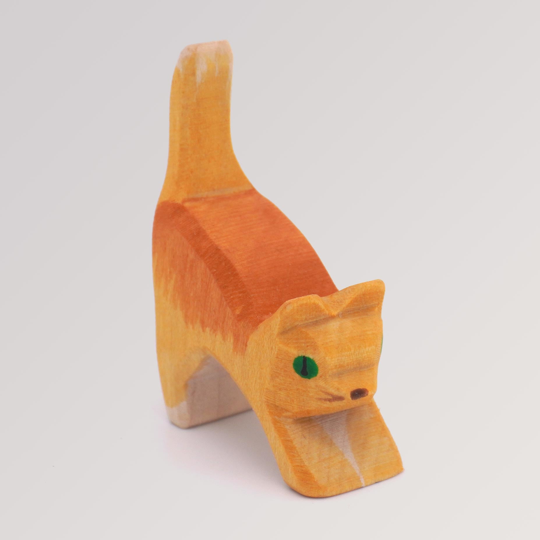 Katze klein, Kopf tief von Ostheimer