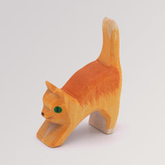 Katze klein, Kopf tief von Ostheimer