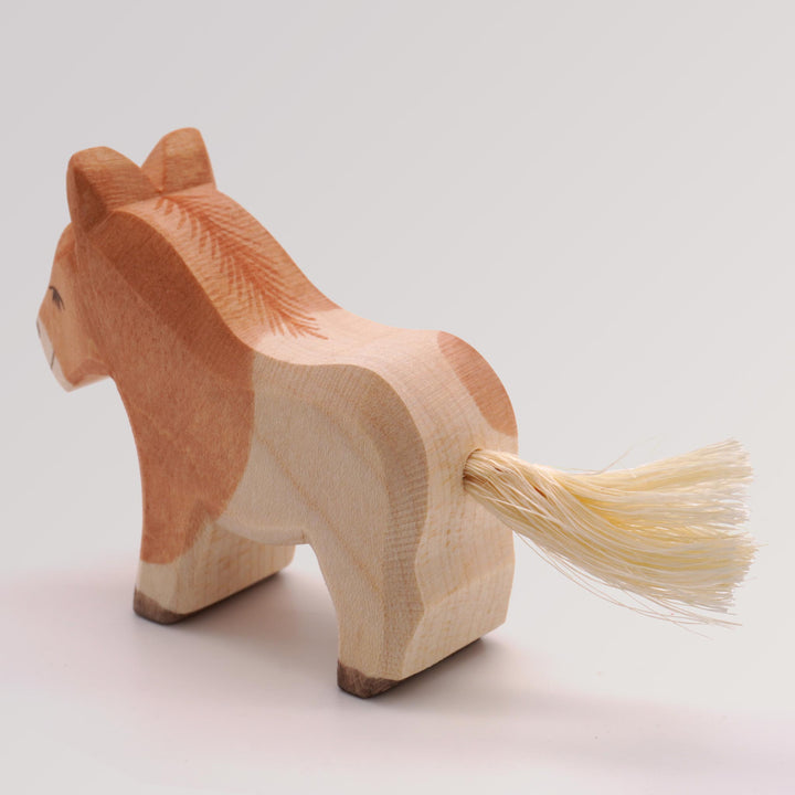 Shetland Fohlen von Ostheimer