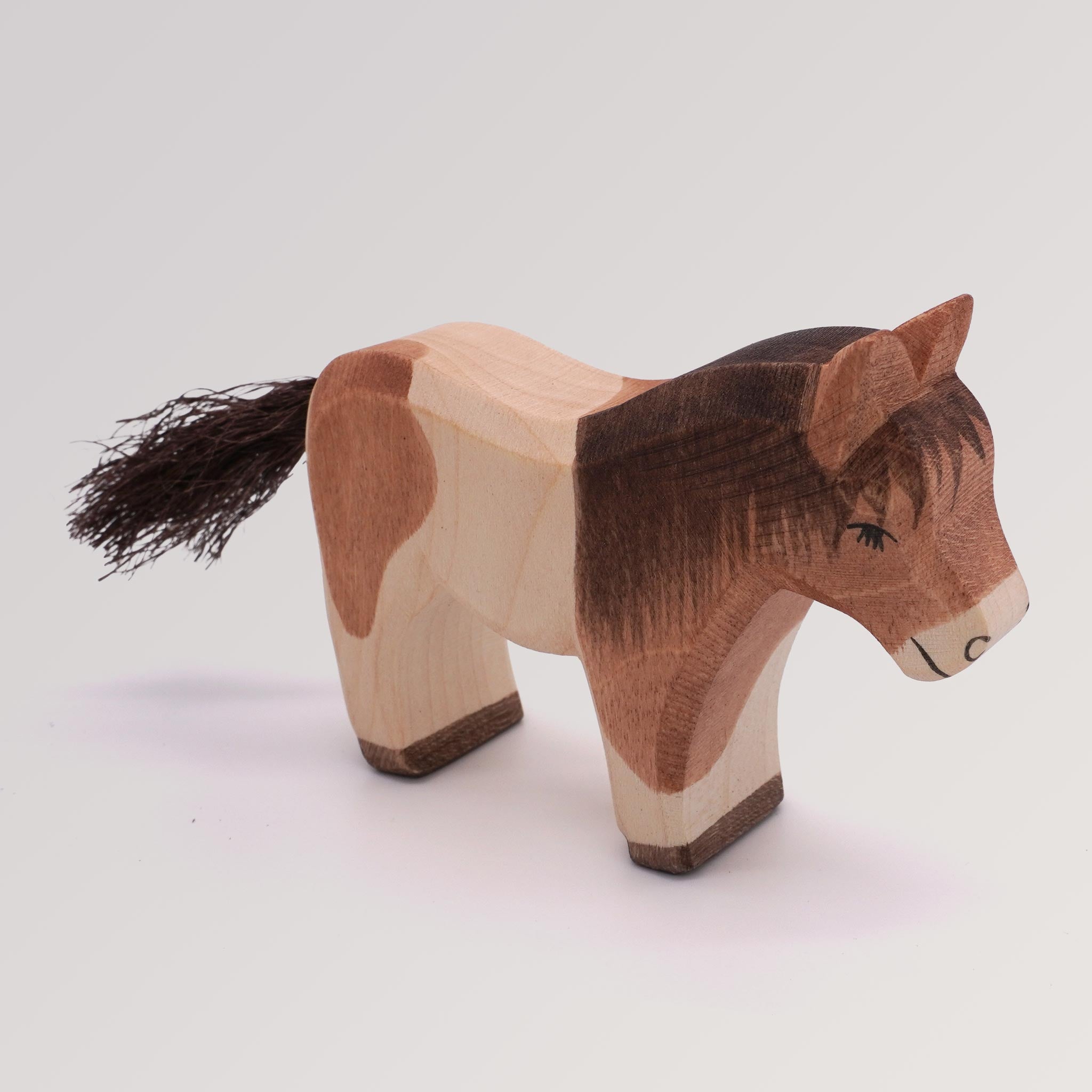 Shetland Pony stehend von Ostheimer